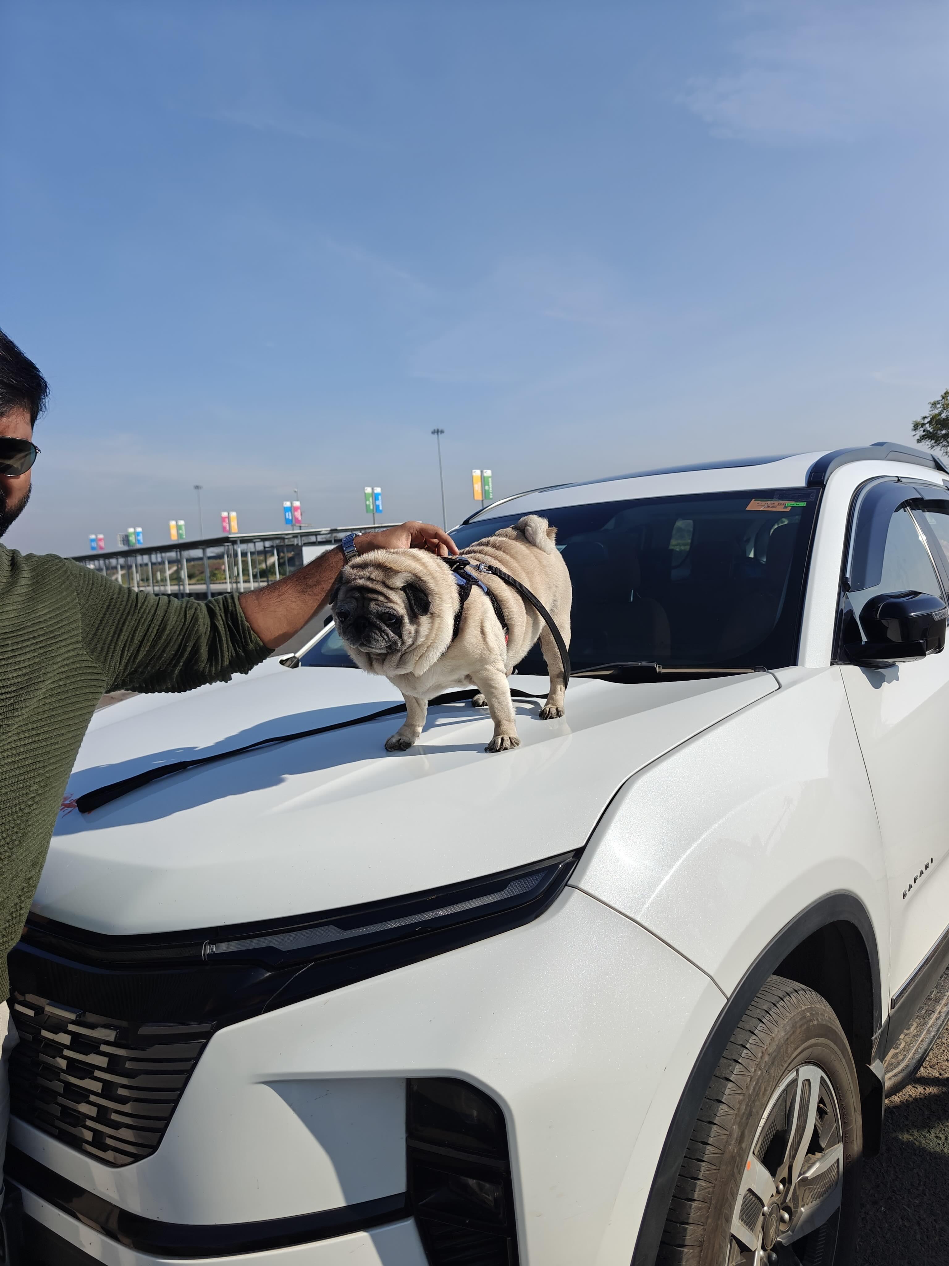 Danny with Maggie on the Tata Safari
